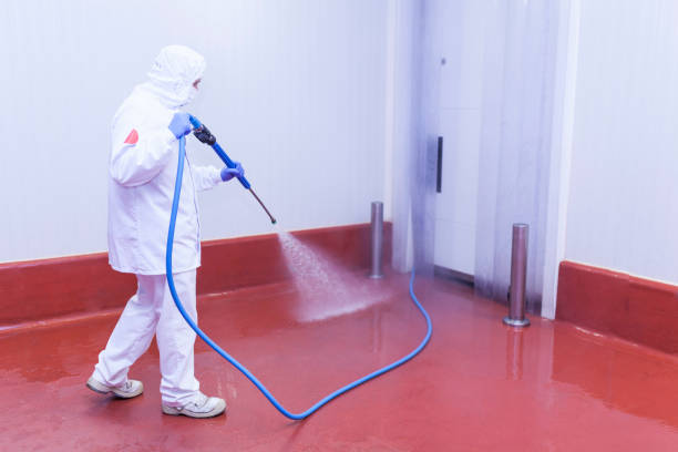 Best Solar Panel Cleaning  in Sesser, IL