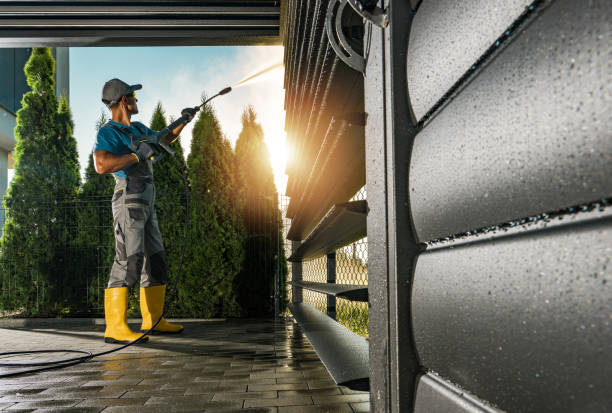 Animal Enclosure Cleaning in Sesser, IL