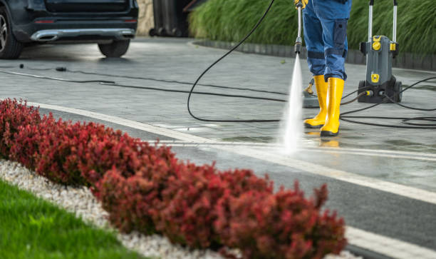 Best Building Exterior Washing  in Sesser, IL